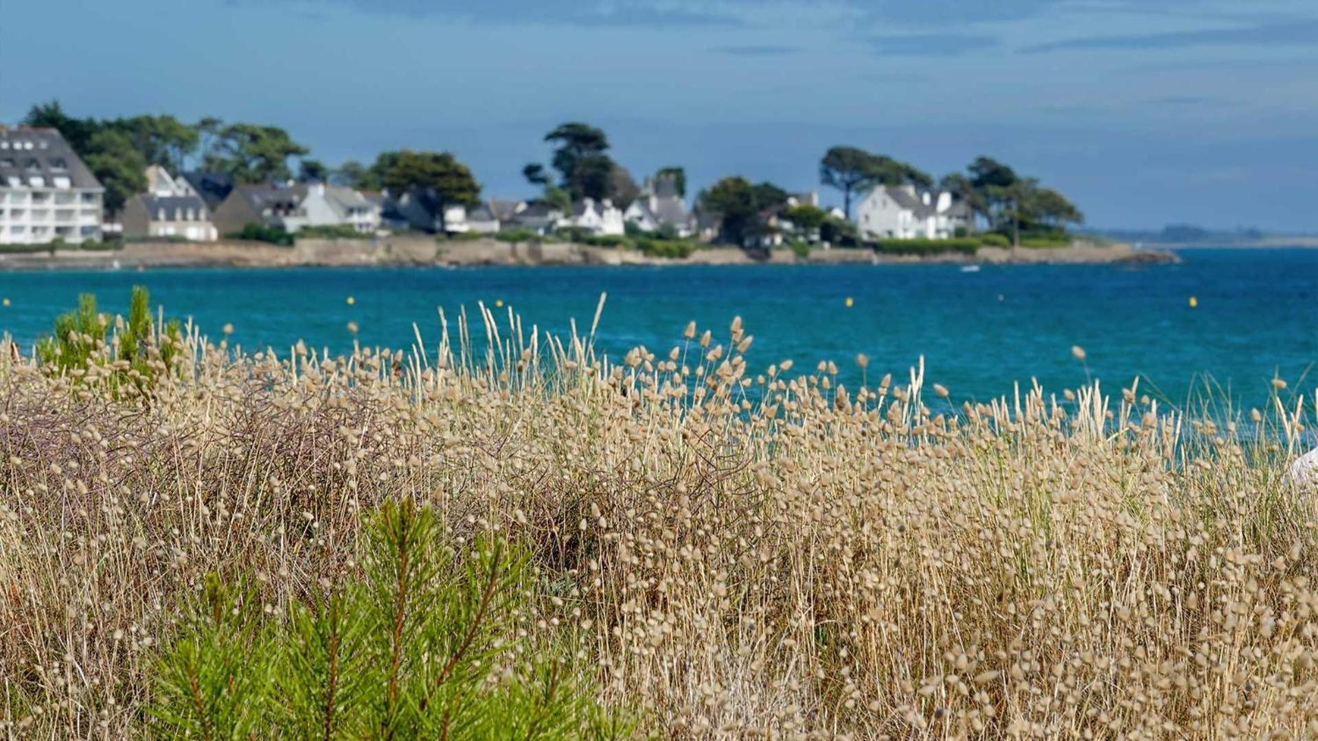 Camping Le Dolmen, Carnac, Morbihan Екстер'єр фото